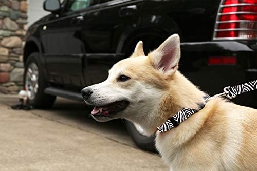 MOOSE kućni ljubimac navratnik za pse - s uzorkom podesive ogrlice za kućne ljubimce, izrađene u SAD - širok