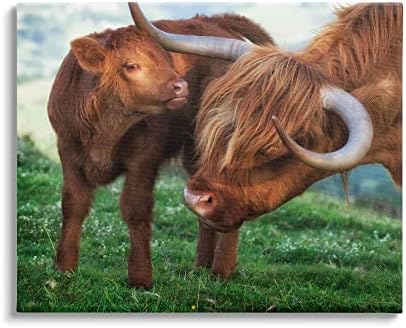 Stupell Industries Loving Longhorn Cattle Nuzzling Calf Heartwarming Animals Canvas Wall Art, Dizajn James Dobson