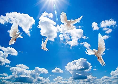 BELECO 10x8ft tkanina mir Dove pozadina Sveti Duh ptica Isus Hrist pozadina plavo nebo bijeli oblaci nebo