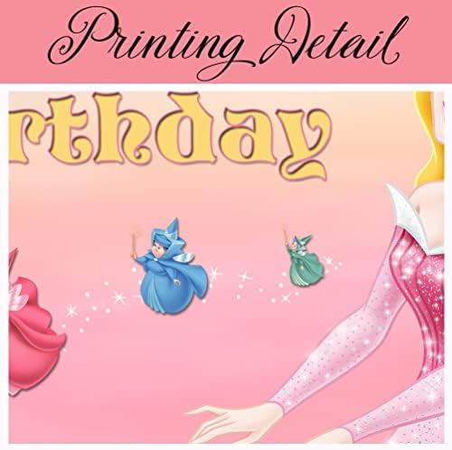 Princeza Aurora ukrasi za rođendanske zabave pozadina Princa Filipa i princeze Beauty Magic Fairytale Banner
